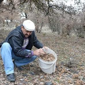 K&ouml;yl&uuml;ler toplayıp muhtara veriyor! Para yağıyor