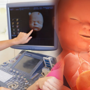 Bebeklerde ilk hangi organ gelişir? Hafta hafta bebek gelişimi