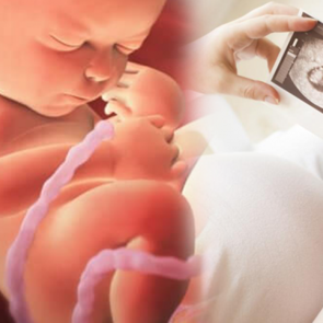 Anne karnındaki bebeği etkileyen besinler