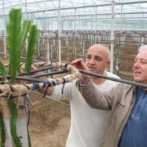 Mesleğinden bıktı kimsenin yapamadığını yaptı