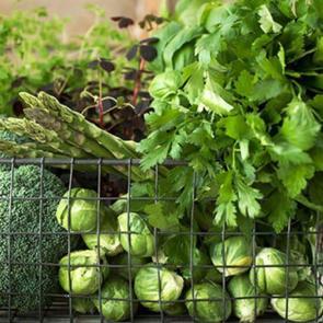 Hangi yeşil sebzeler kilo verdirir?