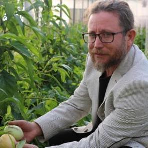 Şifa niyetine dikti gelir kaynağı oldu!