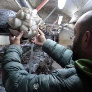 Eski h&uuml;k&uuml;ml&uuml;ler onunla hayata tutundu