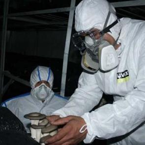 Evin bodrumunda başladı... Kapış kapış satılıyor