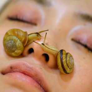 Salyangoz kremi ne işe yarar? Salyangoz kreminin cilde faydaları