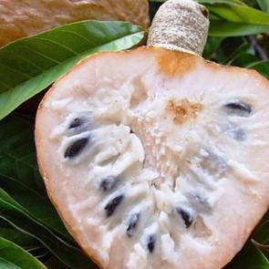 Kilo aldıran besinler neler? İştah a&ccedil;an bitkiler...