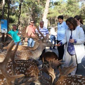 Hayvanat bah&ccedil;esi kadınlar ve &ccedil;ocuklara &uuml;cretsiz olacak