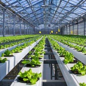 Aldığı destekle seralarını b&uuml;y&uuml;tt&uuml;