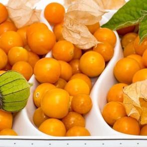 Limon suyu ve altın &ccedil;ilek zayıflatır mı? Altın &ccedil;ilek ile kilo verme...