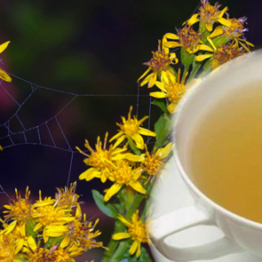 Altınbaşak otunun faydaları nelerdir? Altınbaşak otu &ccedil;ayı ne işe yarar?