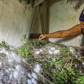 B&uuml;y&uuml;k heyecan! Merkez haline gelecek