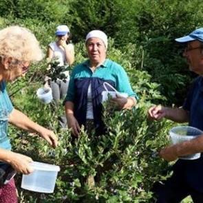 Emekli doktor t&uuml;m birikimini yatırdı