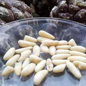 G&ouml;lgesi i&ccedil;in ekti ama ilk hasadından 40 bin TL kazandı