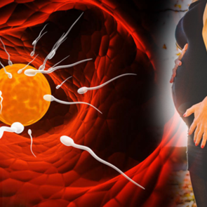 Yumurta &ccedil;atlatma iğnesi nedir, ne işe yarar? İğne ile yumurtlama tedavisi