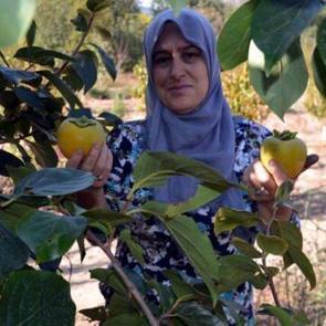 &Ouml;nce kurutuyor! Kilosunu 23 katına satıyor