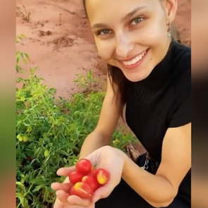 Jessica May tarladan domates topladı!