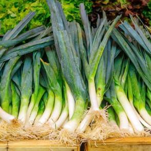 Pırasa nasıl ayıklanır? Pırasa ayıklamanın p&uuml;f noktaları