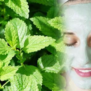 Nanenin cilde faydaları nelerdir? Nane cilde nasıl uygulanır? Cildi yenileyen nane maskesi
