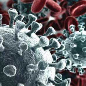 Sağlık Bakanlığı'nın Koronavir&uuml;s uyarılarına &uuml;nl&uuml;lerden destek