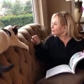 Emel Sayın'dan ev halleri paylaşımı!