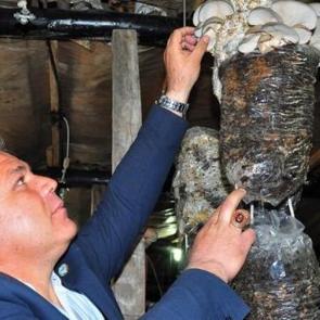 Hobi olarak başladı! Şimdi siparişlere yetişemiyor