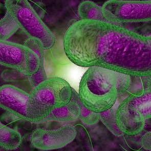 Kolera salgını nedir? Kolera salgını ne zaman başladı? Kolera salgını belirtileri nelerdir?