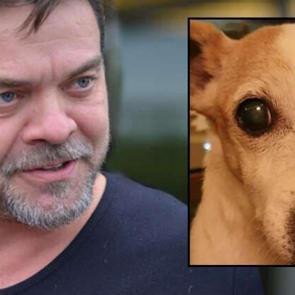 Şovmen Beyazıt &Ouml;zt&uuml;rk'&uuml;n k&ouml;peği hayatını kaybetti!