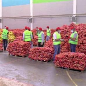 16 bin haneye 250 ton patates ve soğan dağıtılıyor