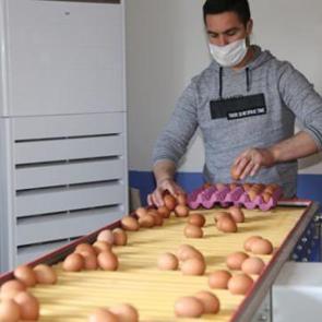 Yumurta &uuml;reticileri talebe yetişemiyor