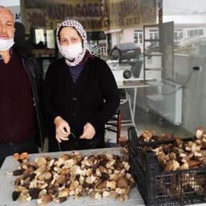 Kurutulmuş kuzug&ouml;beği mantarı 800 liraya satılıyor