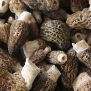 Kuzu g&ouml;beği T&uuml;rkiye'ye d&ouml;viz kazandırıyor