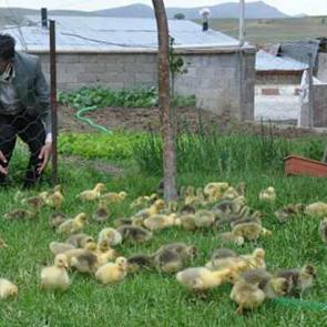 Fransa'dan getirip &uuml;retime başladı! Siparişlere yetişemiyor