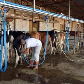 Kendi işi i&ccedil;in İŞKUR'a başvurdu, 5 yılda &ccedil;iftlik sahibi oldu