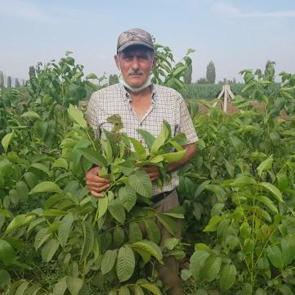 68 yaşında aldığı kurs hayatını değiştirdi, ihracata başladı