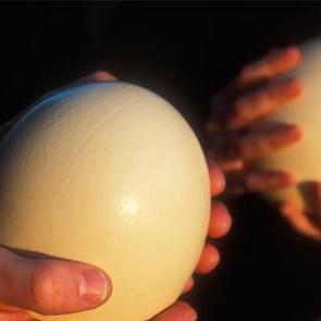 Hobi olarak başladı! Yumurtasını 150 liradan satıyor