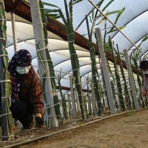 Sinemayı bıraktı, annesiyle bu işe girdi