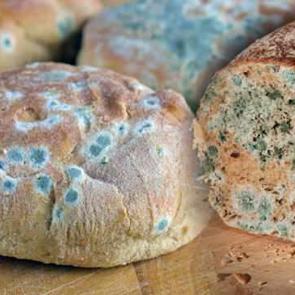 Ramazan'da ekmeğin küflenmesi nasıl önlenir?