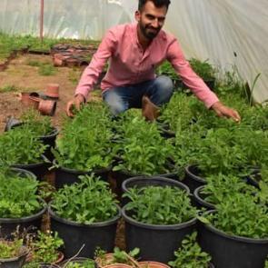 Şekerden 300 kat daha tatlı! &Uuml;retimine başladı