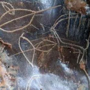 Heyecanlandıran gelişme! 8 bin yıllık mağara resimler bulundu! Bakın ne &ccedil;izmişler