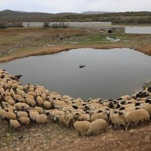 Göçerler bayramı yolda karşılayacak!