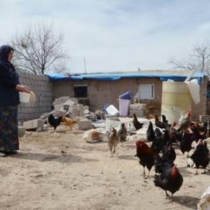 Mikro kredi ile 11 yılda &ccedil;iftlik kurdu