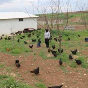 &Ccedil;ocukluk hayali ger&ccedil;ek oldu! Bu iş i&ccedil;in altınlardan vazge&ccedil;ti...