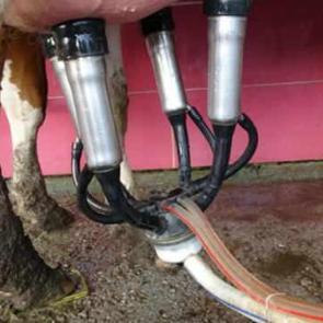 Spikerliği bıraktı, bu işe başladı! 10 yıllık hedefini a&ccedil;ıkladı