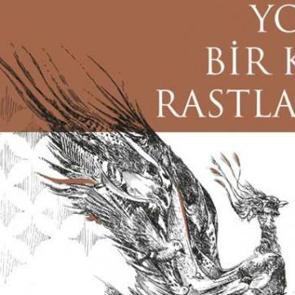 'Yolda Bir Kuşa Rastladım' kitabı raflardaki yerini aldı