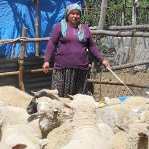2 &ccedil;ocuk annesi kadın devlet desteğiyle s&uuml;r&uuml; sahibi oldu