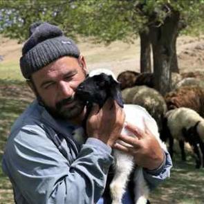 Devlet destek verdi: Sayısını ikiye katladı