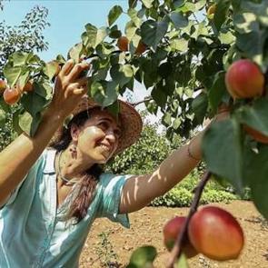 Y&ouml;neticiliği bıraktı, 'dede mirası' işe başladı