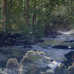 R&uuml;yada dere g&ouml;rmek ne demek? R&uuml;yada dereye d&uuml;şmek neye işaret eder?