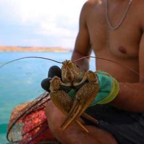 İhtiya&ccedil; kredisiyle başladı! Ayda 100 bin lira kazanıyor