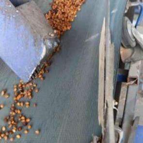 T&uuml;rkiye'de pek bilinmeyen &uuml;r&uuml;ne Almanya'dan sipariş yağıyor!